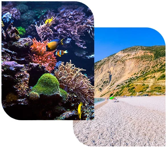 Ross & North Bay Island